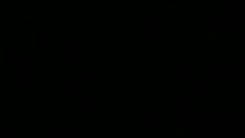 Snapshot of 0815____pet chatting on December 2025 09:53:02 PM Peter online show from December 2025 09:53:02 PM