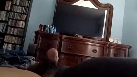 12345marihtc online show from October 2025 12:33:02 AM