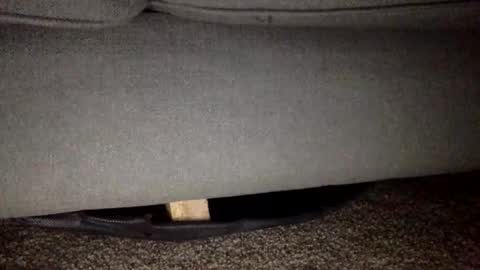 30nick online show from February 2026 05:50:02 AM