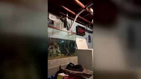 33adidas online show from March 2026 08:18:01 AM