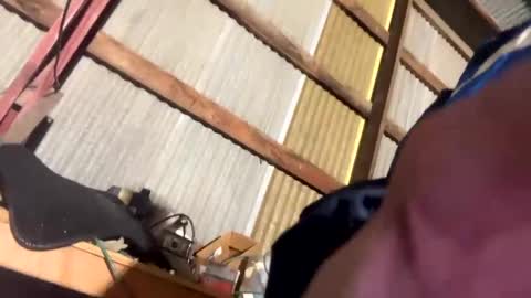 Snapshot of 420danny chatting on February 2025 03:44:02 AM 420danny online show from February 2025 03:44:02 AM