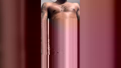 522628bird online show from February 2026 01:35:02 AM