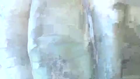 Daddy online show from December 2025 06:24:02 PM