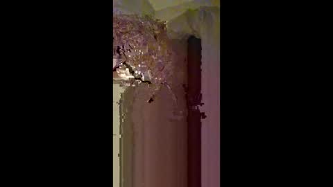 Snapshot of 60zeus60 chatting on February 2026 03:40:01 AM Zeus online show from February 2026 03:40:01 AM