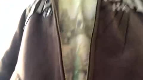 6990fiko online show from January 2025 10:36:02 AM