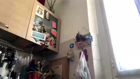 6990fiko online show from March 2025 12:55:01 PM