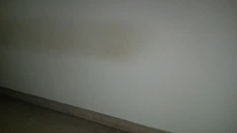 69___pas online show from November 2025 08:04:01 AM