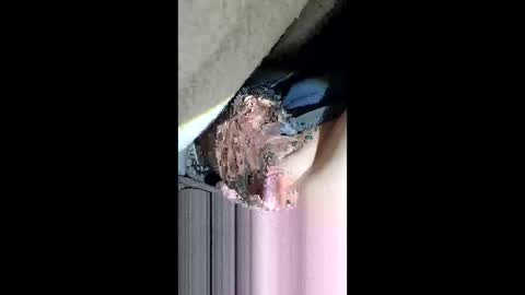 69vz69 online show from May 2026 09:48:01 AM