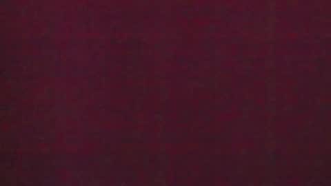 Snapshot of 777_brendi_777 chatting on January 2025 07:50:01 AM Brendi online show from January 2025 07:50:01 AM