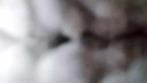 88piterr88 online show from February 2025 08:52:01 AM