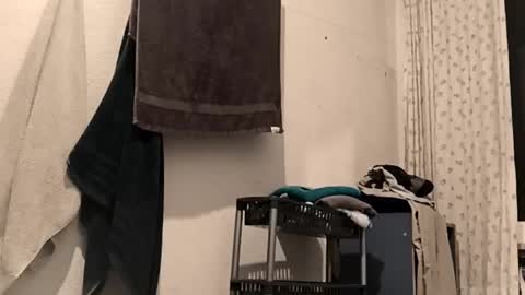 88piterr88 online show from February 2026 03:16:02 AM