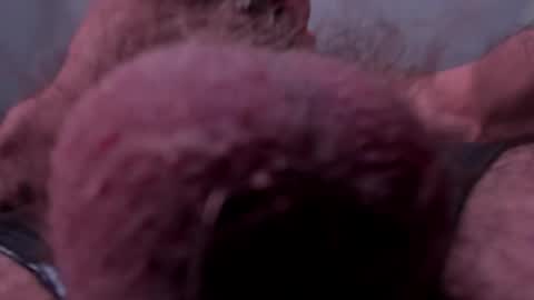 _adamcoper_ online show from October 2025 03:40:01 PM