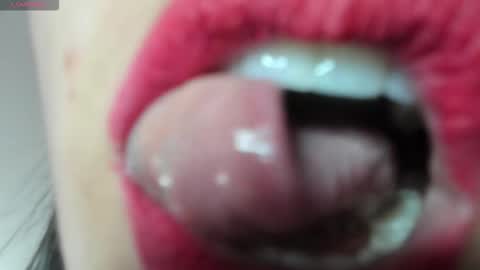 antonia online show from February 2026 01:49:02 PM