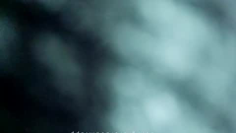 _black_horse_1 online show from May 2026 12:40:02 AM