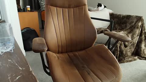 _black_lotus online show from February 2025 01:34:01 AM