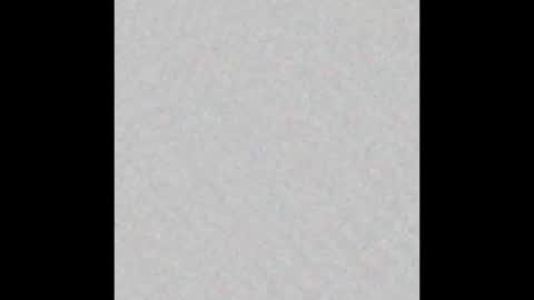 Brenda online show from October 2025 11:47:02 AM