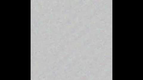 Brenda online show from November 2025 11:54:01 AM