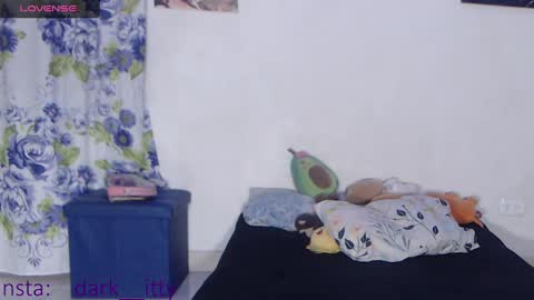 Snapshot of _darkitty_ chatting on January 2025 06:12:01 AM Darkitty online show from January 2025 06:12:01 AM