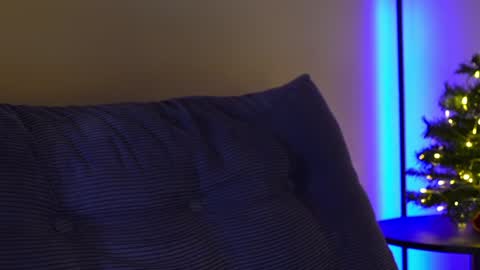 all my social     online show from January 2025 08:24:01 AM