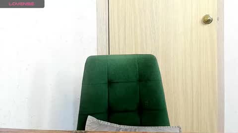 Snapshot of _feralberry__ chatting on February 2025 09:25:02 AM Alis online show from February 2025 09:25:02 AM