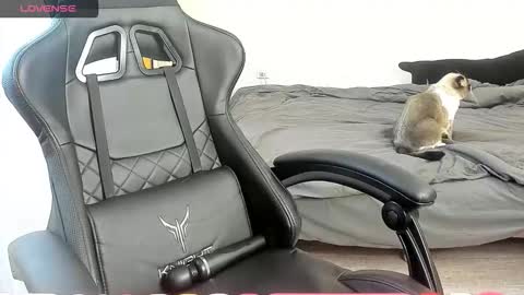 Snapshot of _feralberry__ chatting on October 2025 07:27:02 AM Alis online show from October 2025 07:27:02 AM