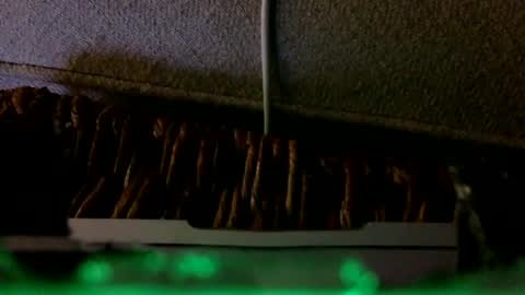 Rex online show from February 2026 02:27:02 AM