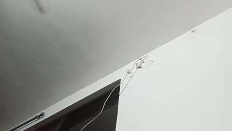 _iluvatar_ online show from February 2026 04:55:01 AM