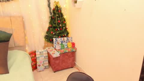 Ivy 3 online show from December 2024 05:07:02 AM