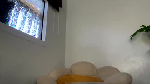 Francine Aisi Morpho - a genus of blue butterflies. online show from January 2025 05:09:01 AM