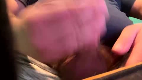 _peterson_ online show from January 2025 10:24:01 PM