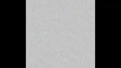 Snapshot of _private_person_ chatting on November 2025 02:17:02 PM HADLY today day-off see u online 0112 online show from November 2025 02:17:02 PM