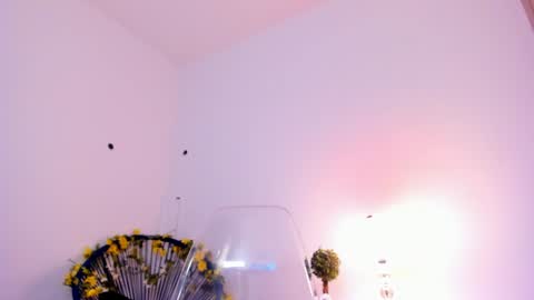 Sam   --- next stream 1 dic  food and vino show . online show from February 2025 08:10:01 PM