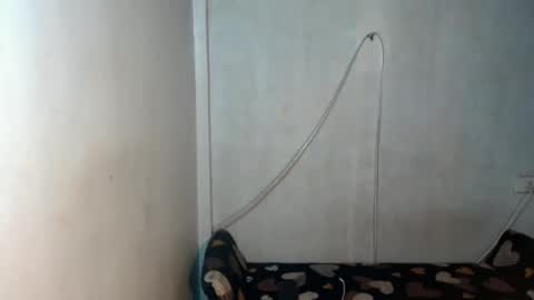 _shanexx online show from December 2025 05:34:01 AM