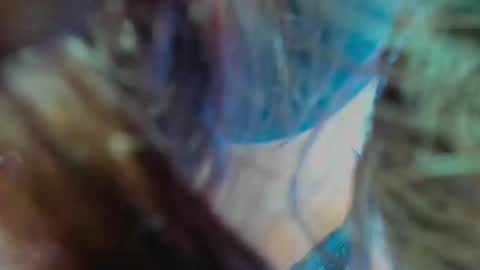 _silvia_vega_ online show from February 2026 03:07:02 AM