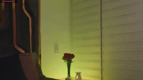 Snapshot of _silvia_vega_ chatting on June 2026 04:36:02 AM _silvia_vega_ online show from June 2026 04:36:02 AM