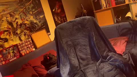 _svenerd_____ online show from March 2026 11:50:01 PM