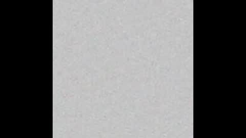 _tammarra_ online show from January 2026 12:21:01 PM