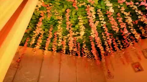   online show from April 2026 11:37:01 AM