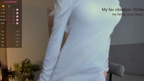 Snapshot of _your_tessa chatting on January 2025 11:22:02 AM Tessa -  online show from January 2025 11:22:02 AM