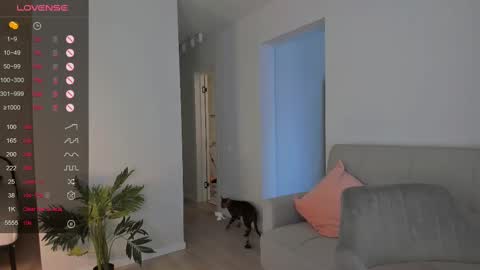 Snapshot of _your_tessa chatting on February 2025 09:58:02 AM Tessa -  online show from February 2025 09:58:02 AM