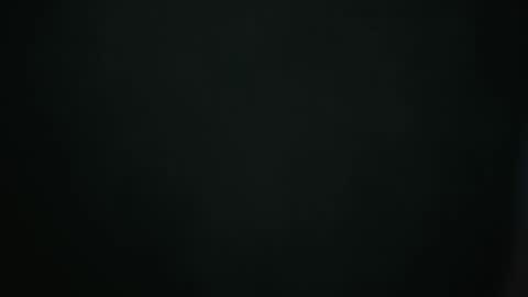 ZARA online show from June 2026 04:56:02 PM