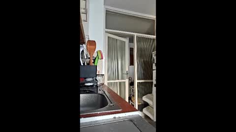 Snapshot of abbel_stone chatting on March 2026 03:51:02 PM abbel_stone online show from March 2026 03:51:02 PM