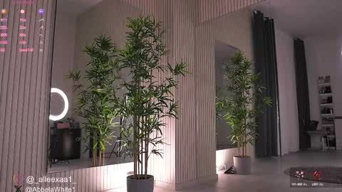 Alexa online show from February 2025 06:29:02 AM