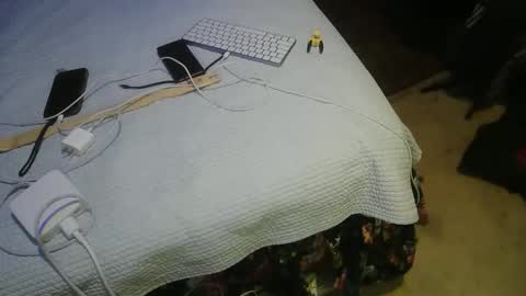 Snapshot of acacias2022 chatting on March 2026 02:17:02 AM aCACiAs2022 online show from March 2026 02:17:02 AM