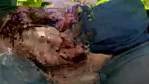 ace5003 online show from March 2026 03:45:02 AM