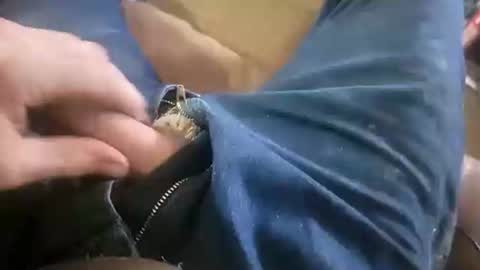 Ace online show from January 2025 08:51:02 PM