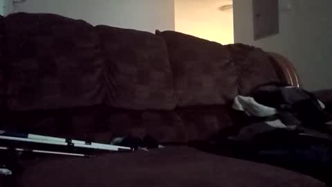 not going to tell you online show from October 2025 07:36:02 PM