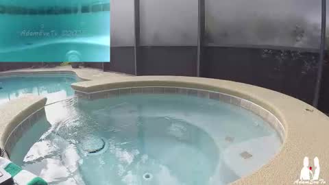 Adam And Eve online show from November 2025 06:00:02 PM