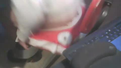 adamsny online show from January 2025 07:04:01 AM