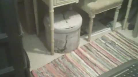 adamsny online show from November 2025 08:46:01 AM